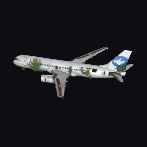 Abandoned Passenger Plane