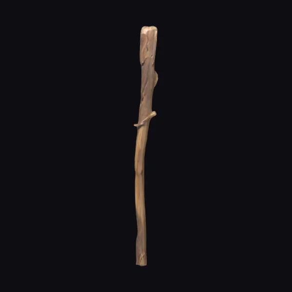 Wooden Wandering Staff