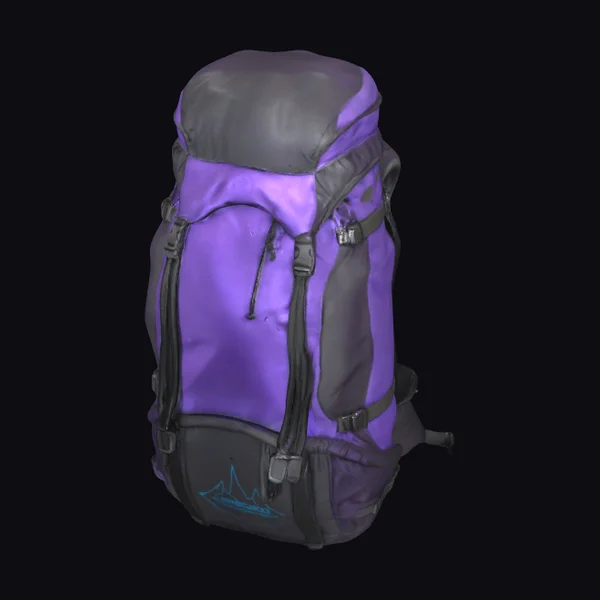Purple Hiking Backpack