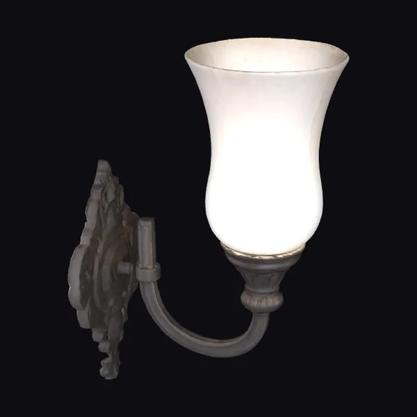 Elegant Wall Mounted Light