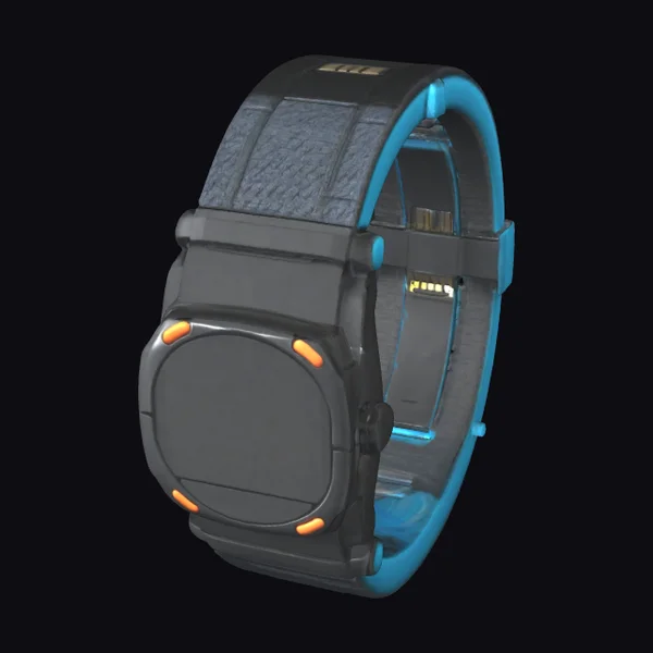 Tech Wristband Storage Device