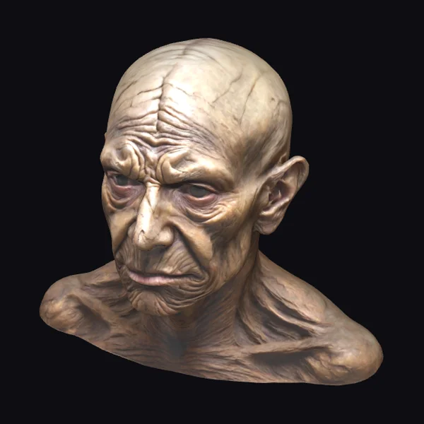 Wrinkled Double Faced Bust