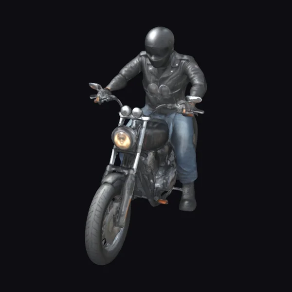 Biker on Harley Davidson