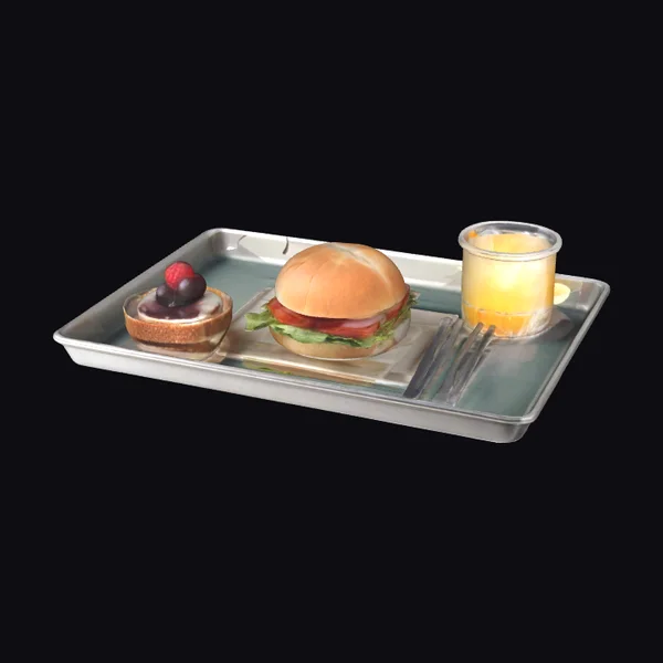 Airplane Meal Tray