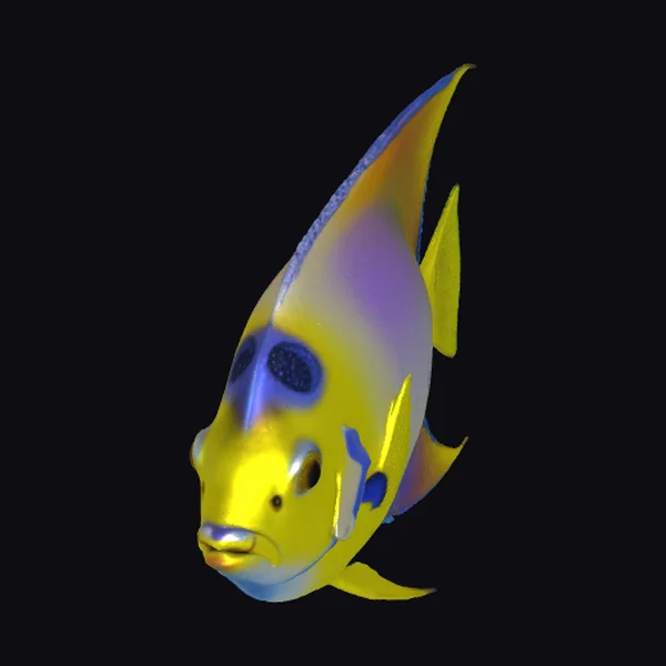 Yellow Angelfish with Blue Spots