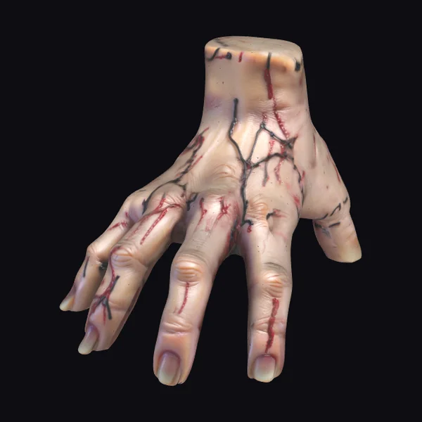 Severed Human Hand