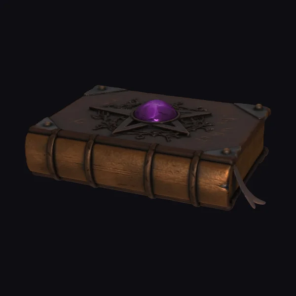 Ancient Leather Bound Book