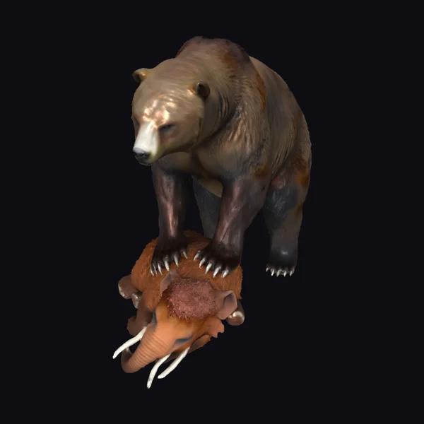 Bear on Mammoth Calf