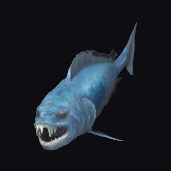 Fierce Deep Sea Fish