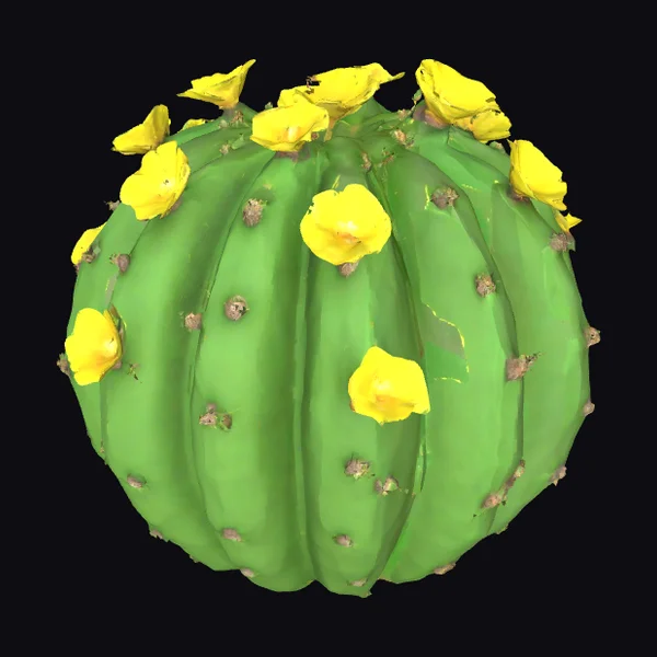 Green Flowering Cactus