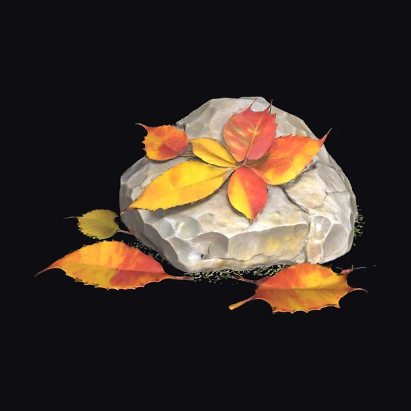 Autumn Leaves on Rock