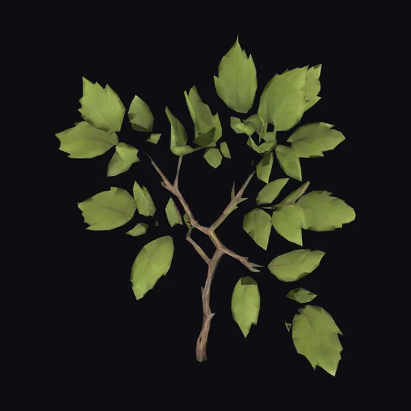 Leafy Branch with Green Leaves