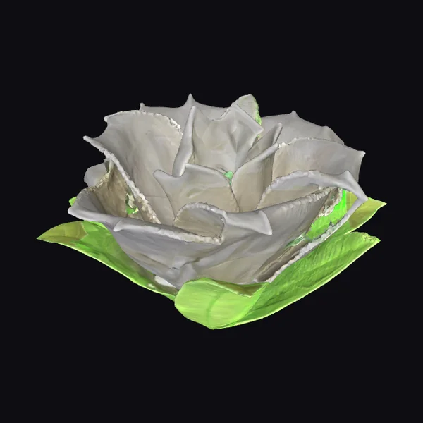 White Fabric Flower Corsage