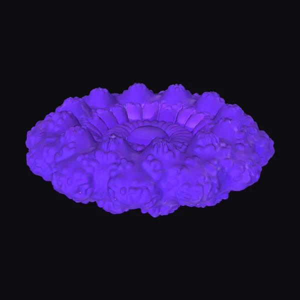 Purple Cosmic Raft