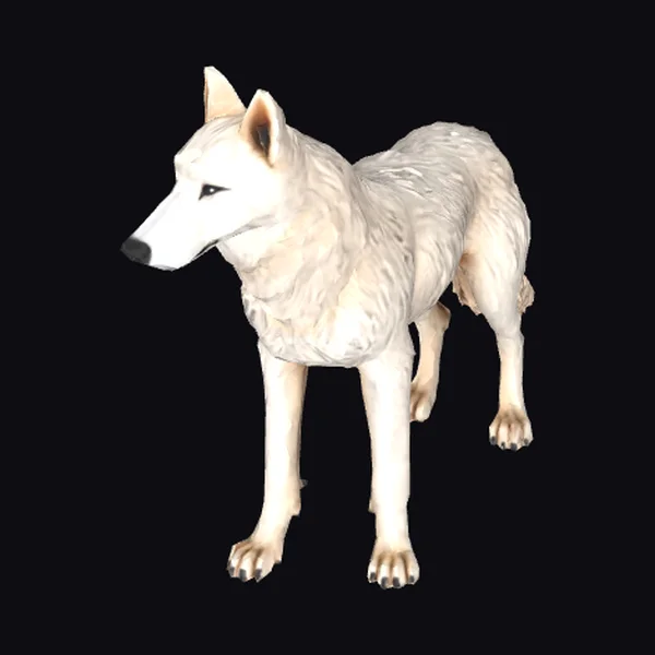 White Wolf on Four Legs
