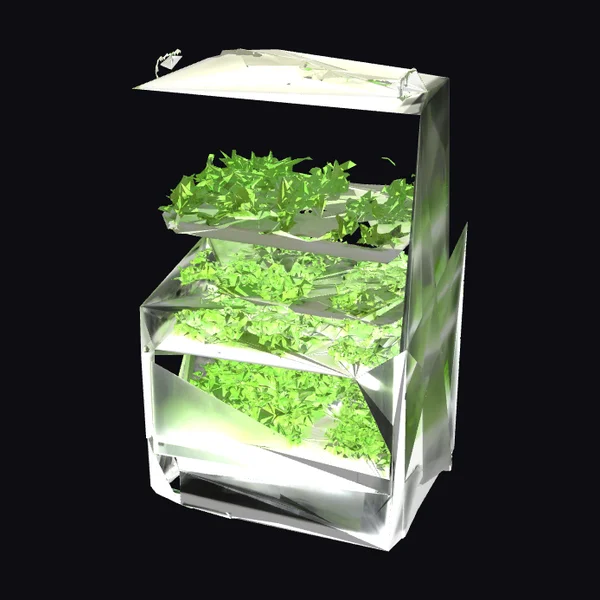 Mini Hydroponic Farm