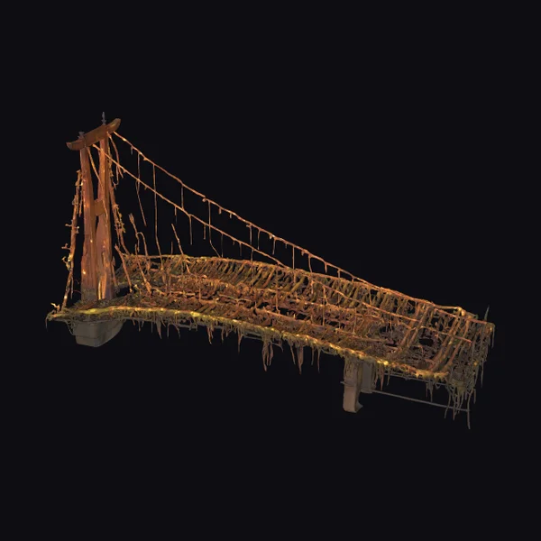 Ancient Vine Suspension Bridge