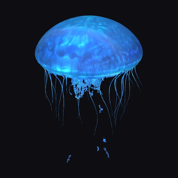 Glowing Blue Bioluminescent Jellyfish