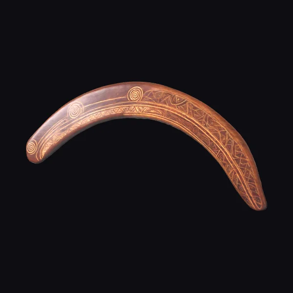 Wooden Boomerang