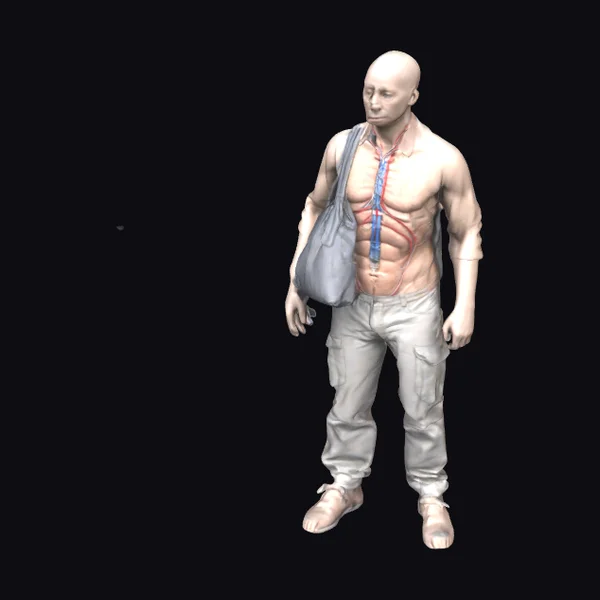 Anatomical Man with Bag