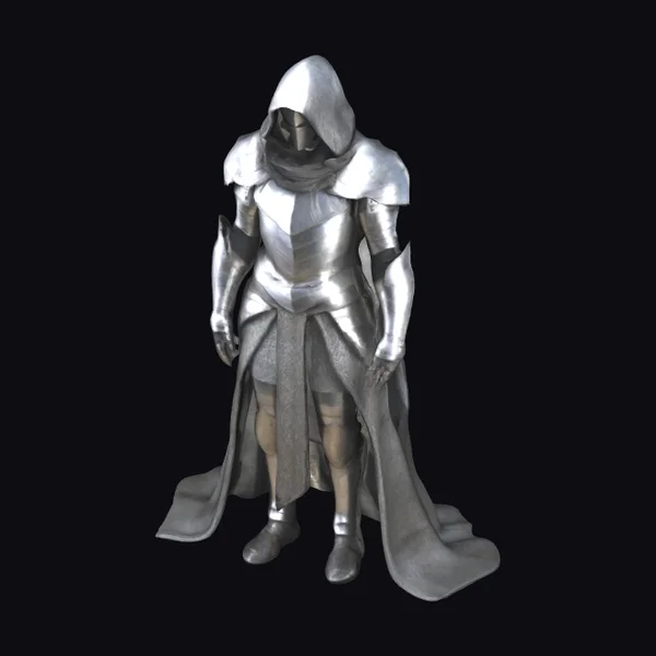 Hooded Armored Warrior