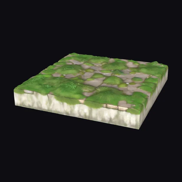 Garden Floor with Grass