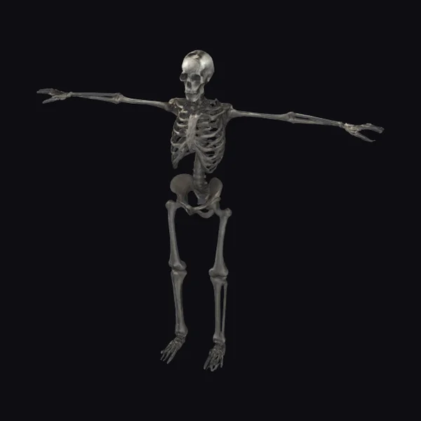 Cracked Skeleton T-pose