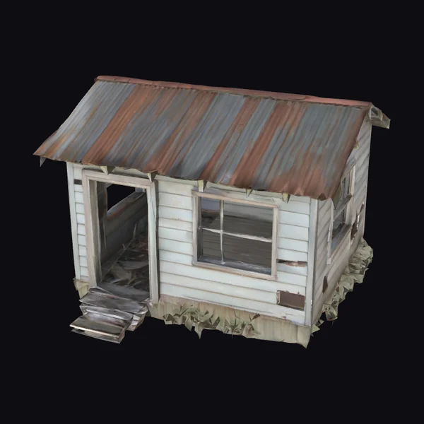 Abandoned Shack Structure