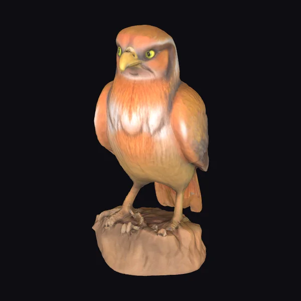 Wood Carved Bird Statue