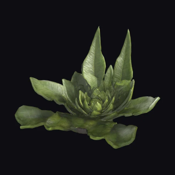 Giant Green Leafy Plant