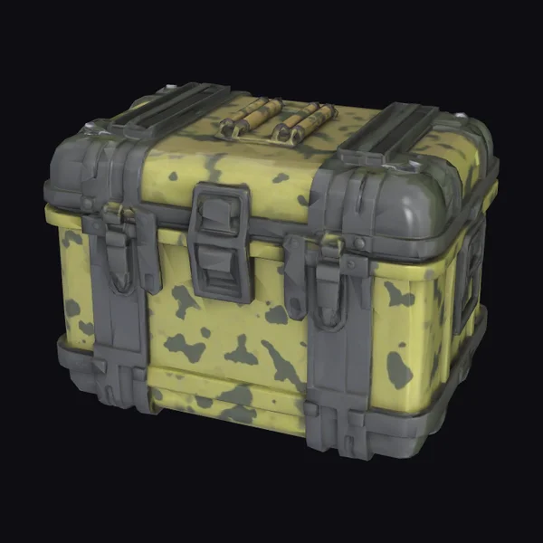 Camouflage Survival Container