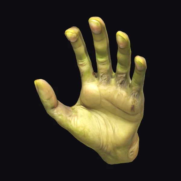 Wrinkled Human Hand
