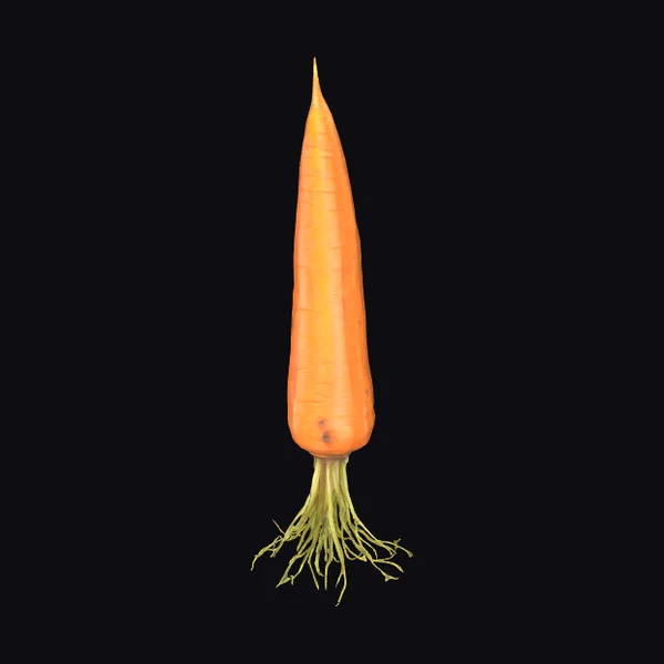Vibrant Orange Carrot