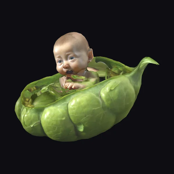 Green Baby Emerging Soybean Pod