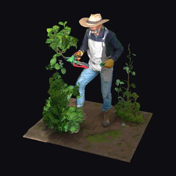 Gardener Trimming Bushes