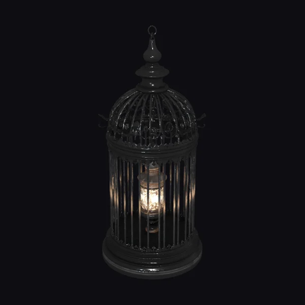 Black Wrought Iron Birdcage
