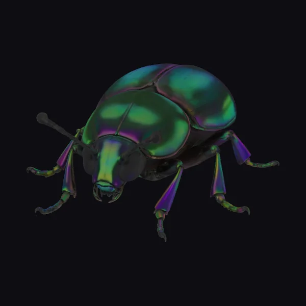 Iridescent Beetle