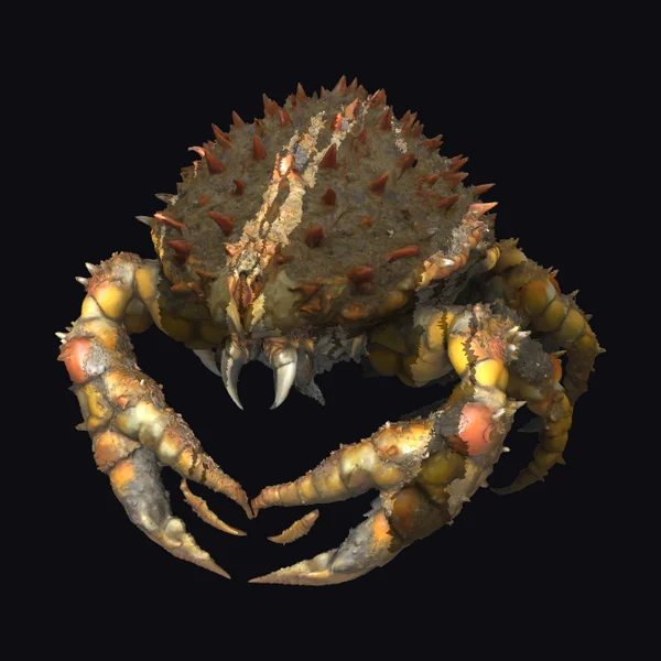 Ancient Crab-like Monster