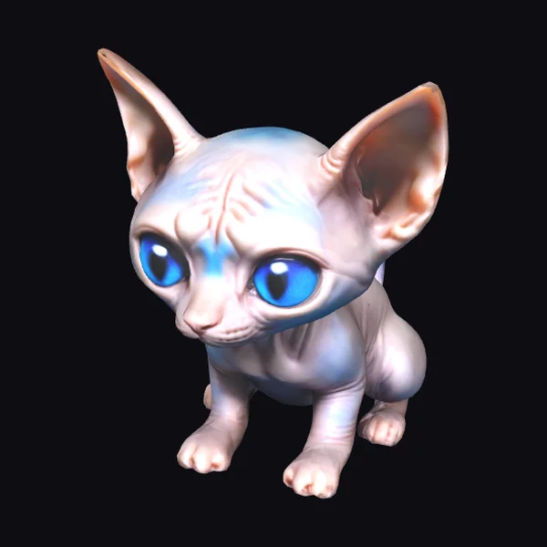 Cute Sphynx Kitten