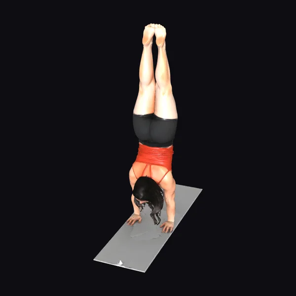 Inverted Yoga Pose