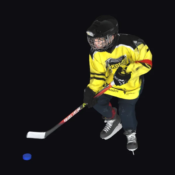Young Hockey Player in Action