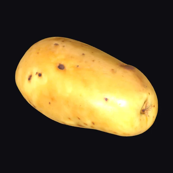 Yellow Potato