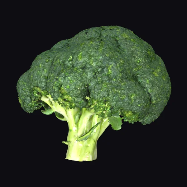 Vibrant Green Broccoli Head