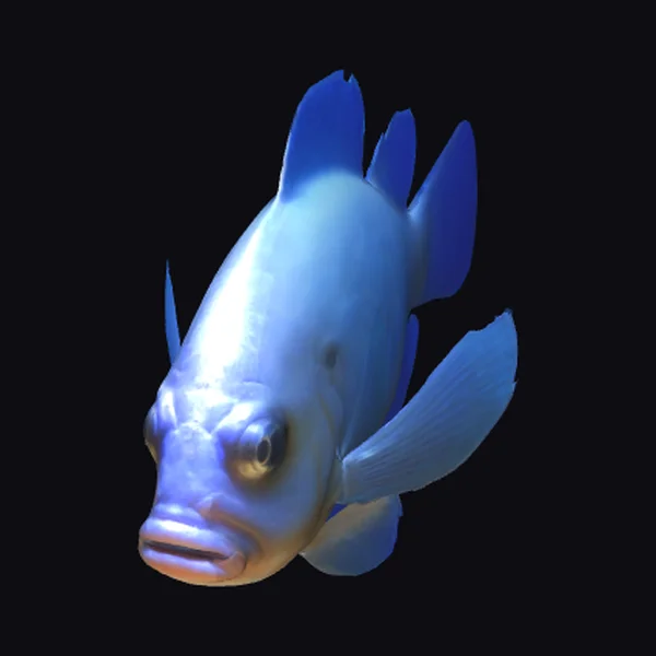 Blue Fish with Fins