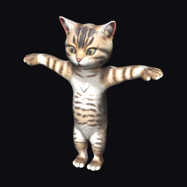 Tabby Cat T-Pose