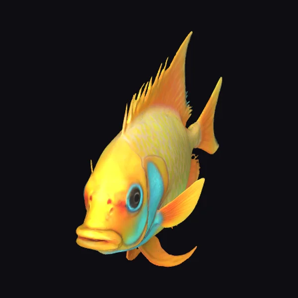 Vibrant Tropical Fish