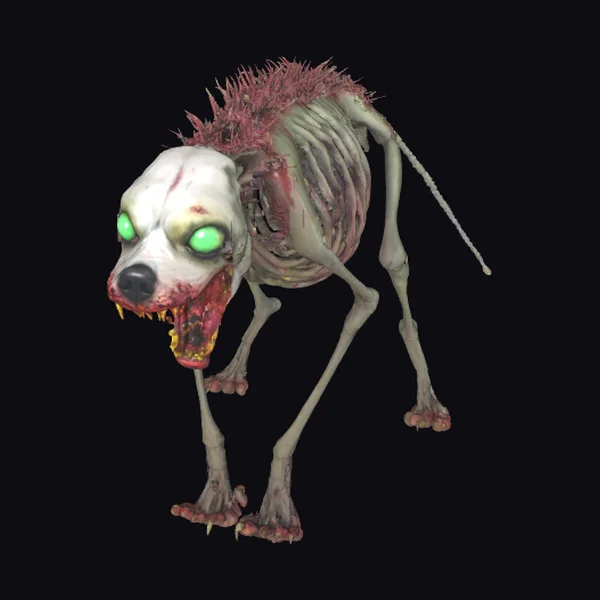 Zombie Dog Skeleton