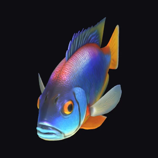 Vibrant Tropical Fish