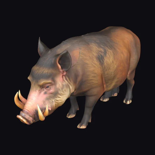Wild Boar with Tusks
