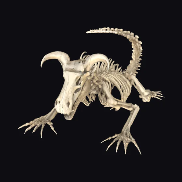 Ancient Dragon Skeleton